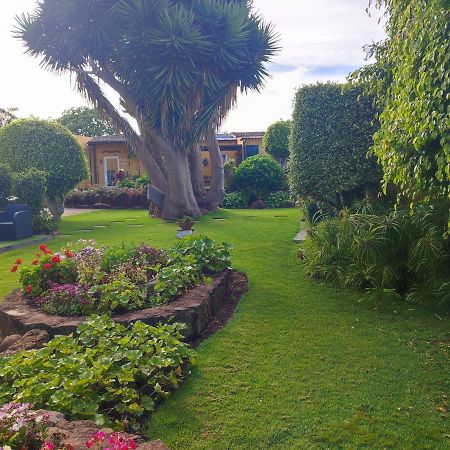 La Chimenea Verde Tacoronte Luaran gambar