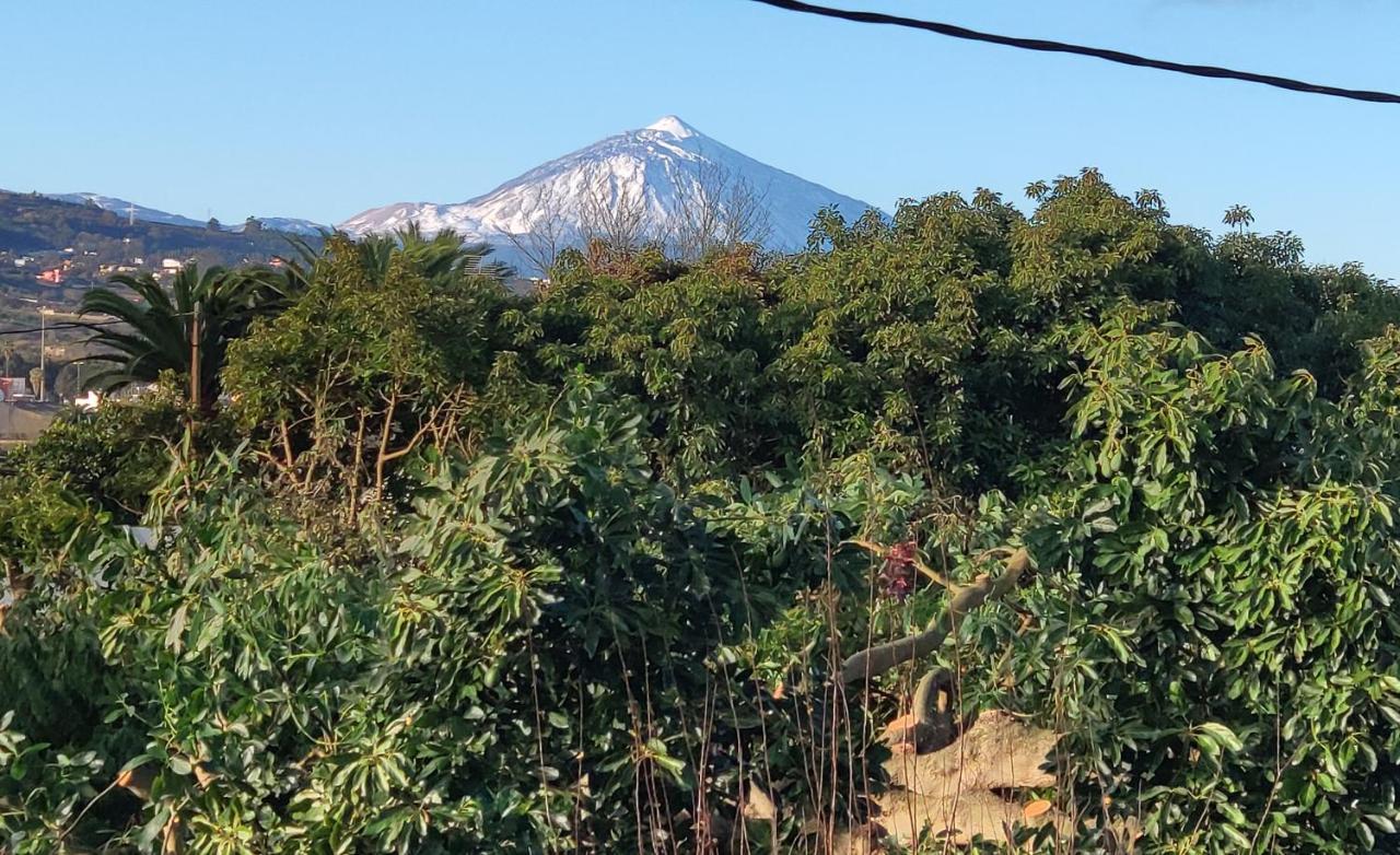 La Chimenea Verde Tacoronte Luaran gambar