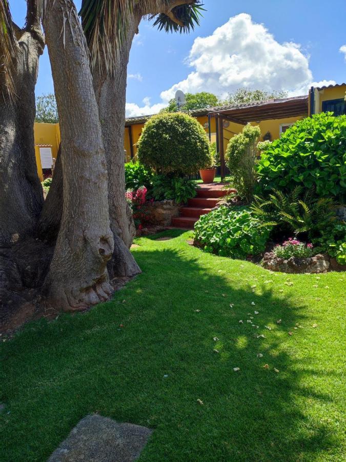 La Chimenea Verde Tacoronte Luaran gambar